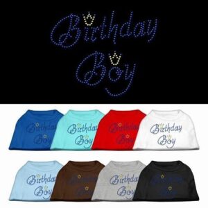 Birthday Boy Rhinestone Dog Shirt | The Pet Boutique