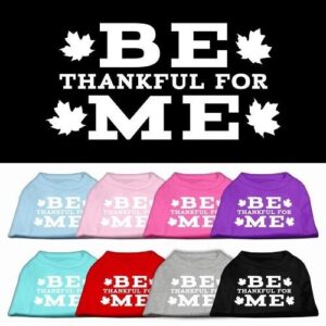 Be Thankful for Me Screen Print Dog Shirt | The Pet Boutique