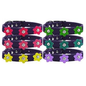 Flower Leather Dog Collar - Purple | The Pet Boutique