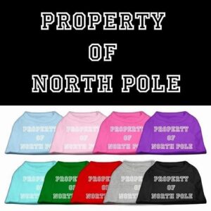 Property of North Pole Screen Print Pet Shirt | The Pet Boutique