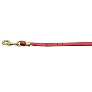 Color Crystal Dog Leash - Red - Red Stones - Gold Hardware | The Pet Boutique