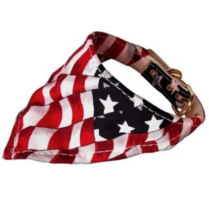 America the Beautiful Patriotic Bandana Collar | The Pet Boutique