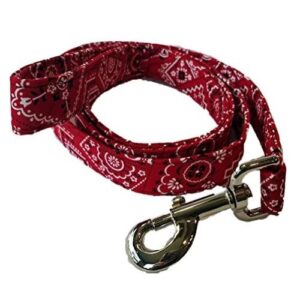 Red Western Bandana Collar Dog Leash | The Pet Boutique