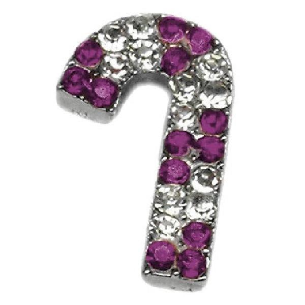 Candy Cane Pet Collar Charm - Purple | The Pet Boutique